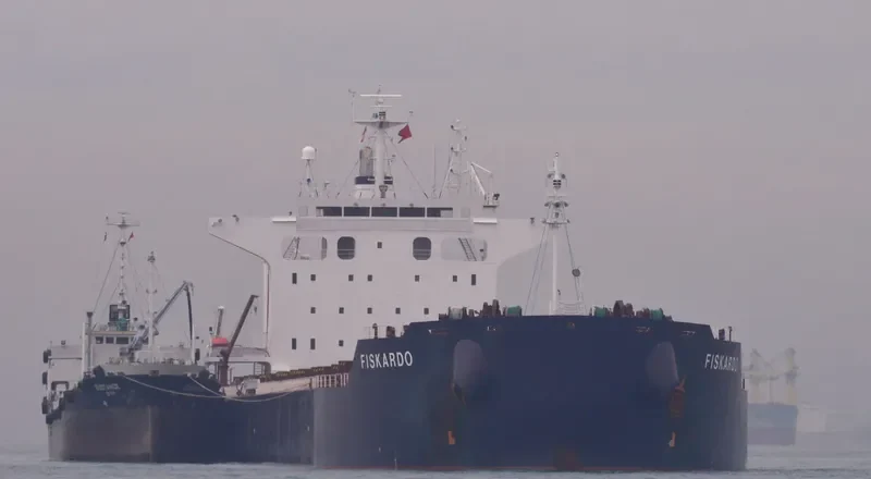 PANAMANIAN Bulk Carrier IMO 9442378 photo 9