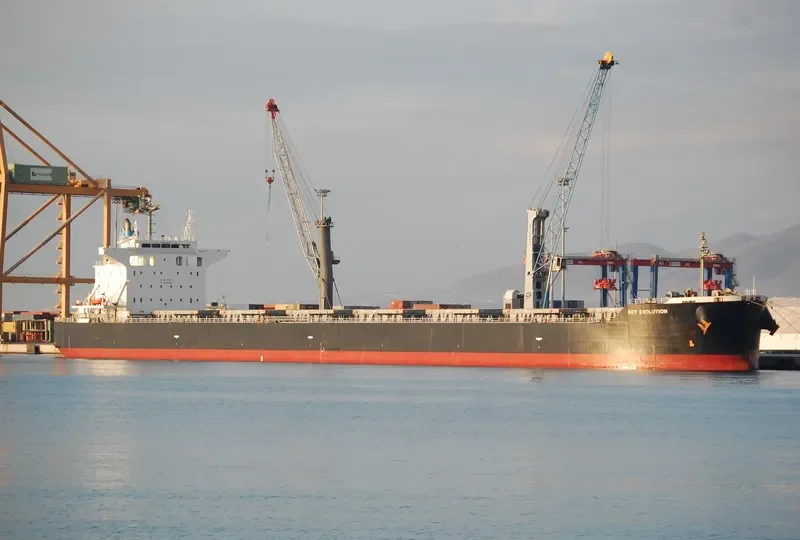 KEY EVOLUTION Bulk Carrier IMO 9442380 photo 2