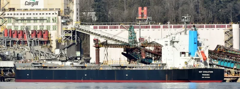 KEY EVOLUTION Bulk Carrier IMO 9442380 photo 3