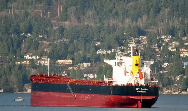 FORTUNA Bulk Carrier IMO 9442392 photo 2