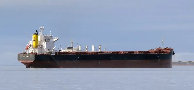 FORTUNA Bulk Carrier IMO 9442392 photo 3