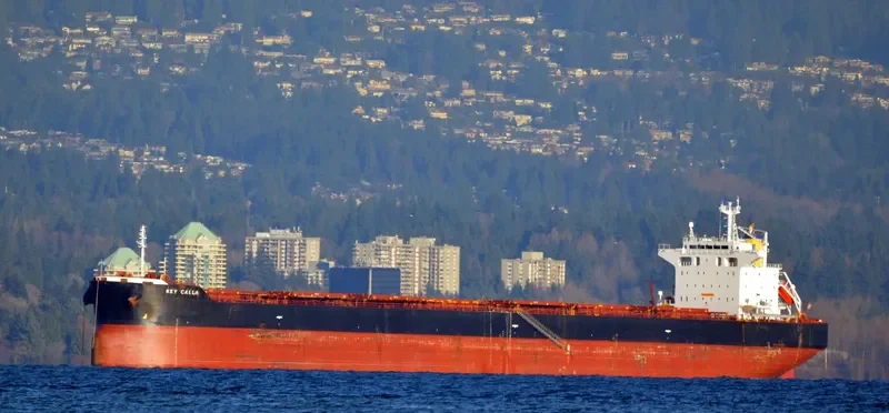 FORTUNA Bulk Carrier IMO 9442392 photo 5