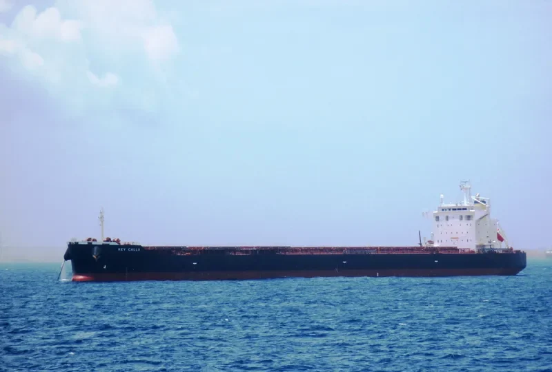 FORTUNA Bulk Carrier IMO 9442392 photo 6