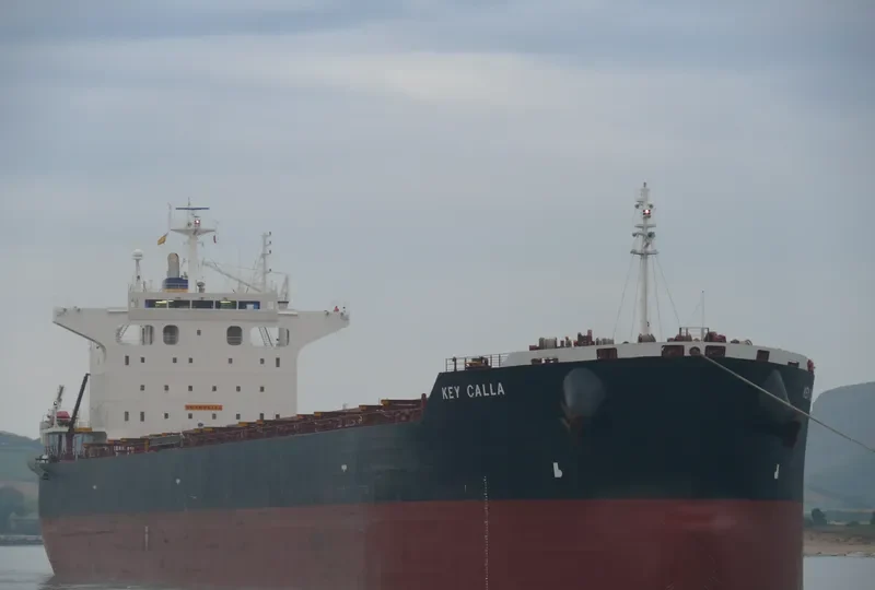 FORTUNA Bulk Carrier IMO 9442392 photo 8