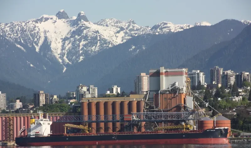 FORTUNA Bulk Carrier IMO 9442392 photo 10