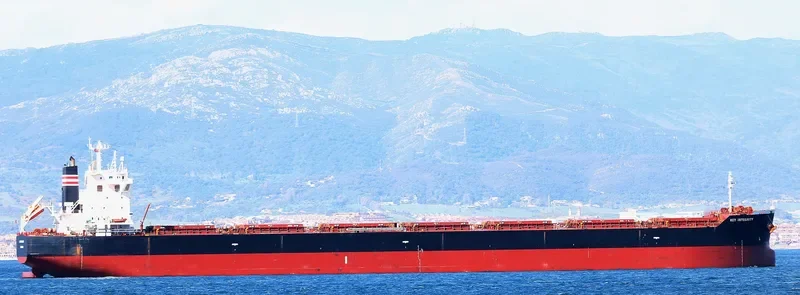 MAGIC THUNDER Bulk Carrier IMO 9442407