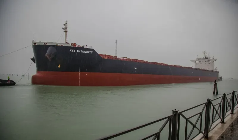 MAGIC THUNDER Bulk Carrier IMO 9442407 photo 4