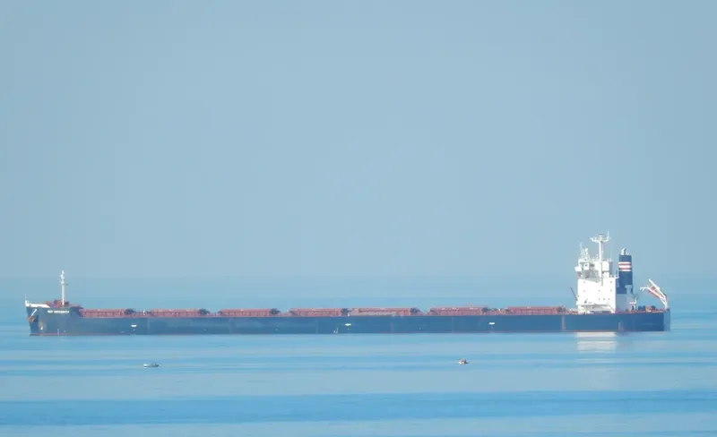 MAGIC THUNDER Bulk Carrier IMO 9442407 photo 6