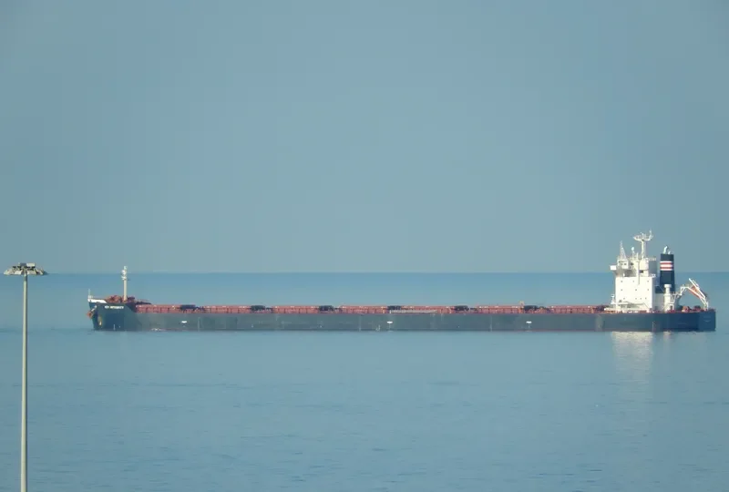 MAGIC THUNDER Bulk Carrier IMO 9442407 photo 7