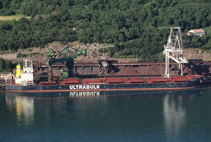 ULTRA PANACHE Bulk Carrier IMO 9442469