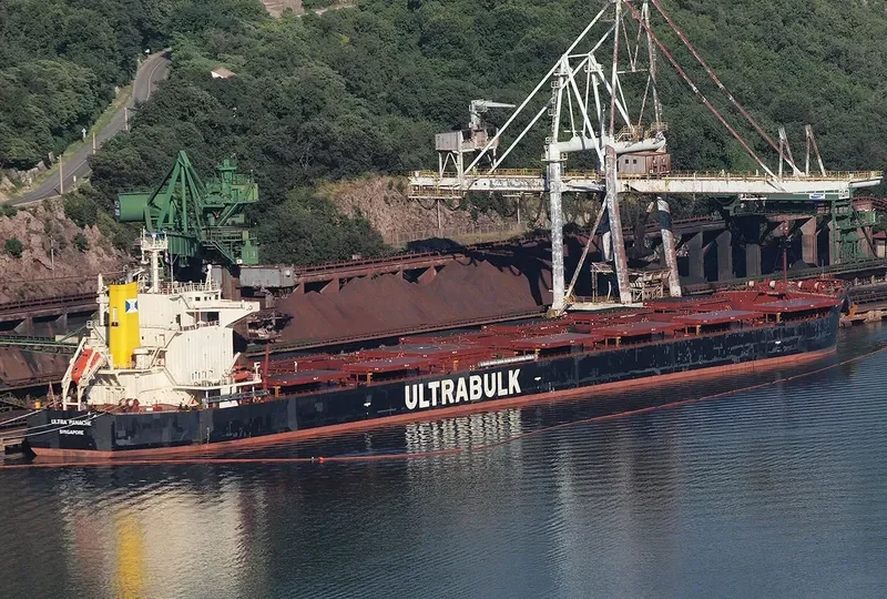 ULTRA PANACHE Bulk Carrier IMO 9442469 photo 2