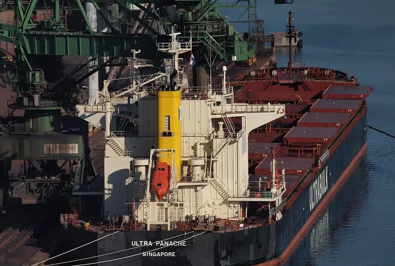 ULTRA PANACHE Bulk Carrier IMO 9442469 photo 3