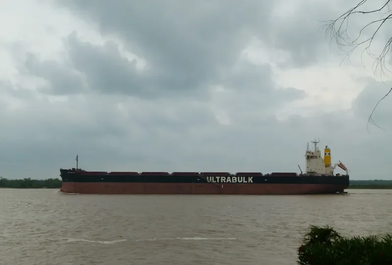 ULTRA PANACHE Bulk Carrier IMO 9442469 photo 5