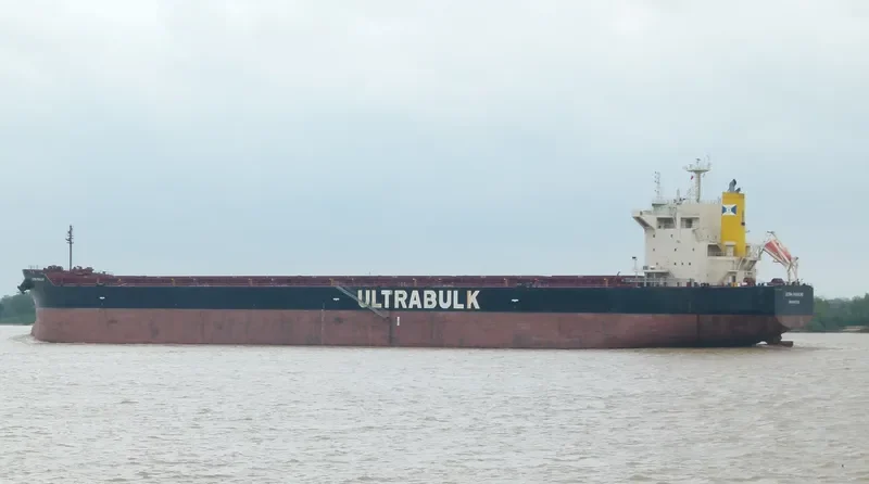 ULTRA PANACHE Bulk Carrier IMO 9442469 photo 7
