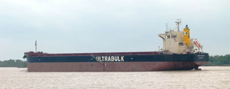 ULTRA PANACHE Bulk Carrier IMO 9442469 photo 8