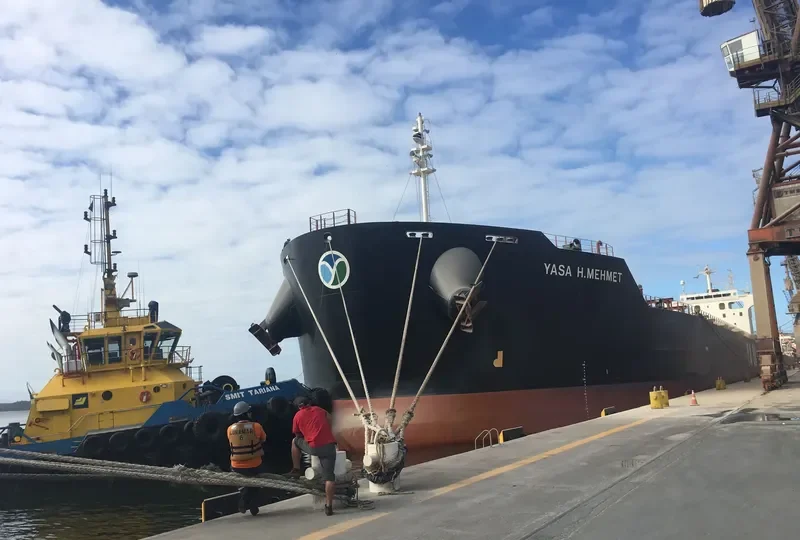 YASA H.MEHMET Bulk Carrier IMO 9442500 photo 2