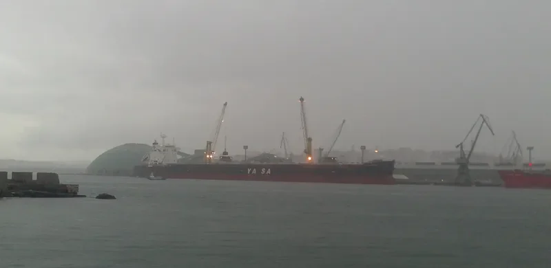 YASA H.MEHMET Bulk Carrier IMO 9442500 photo 8