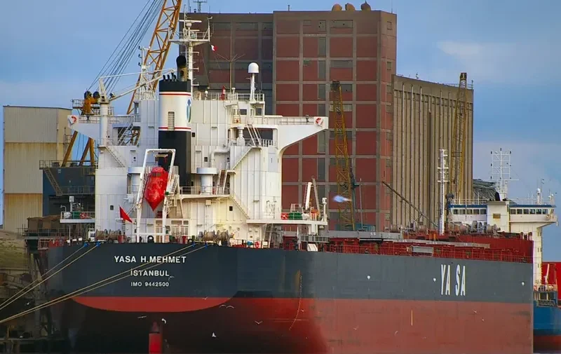 YASA H.MEHMET Bulk Carrier IMO 9442500 photo 9