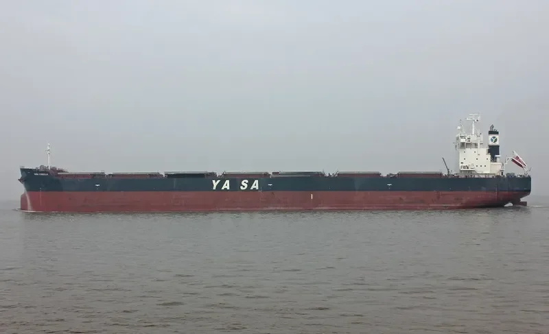 YASA H.MULLA Bulk Carrier IMO 9442512 photo 8