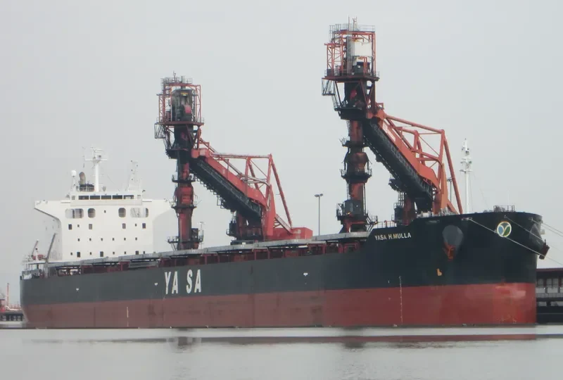 YASA H.MULLA Bulk Carrier IMO 9442512 photo 10