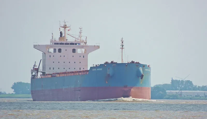 STAR ELECTRA Bulk Carrier IMO 9442536 photo 2