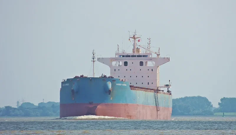 STAR ELECTRA Bulk Carrier IMO 9442536 photo 3