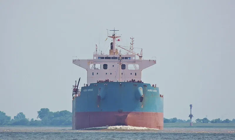 STAR ELECTRA Bulk Carrier IMO 9442536 photo 4