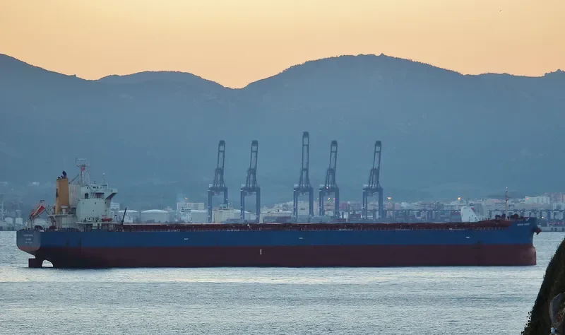 STAR ELECTRA Bulk Carrier IMO 9442536 photo 7