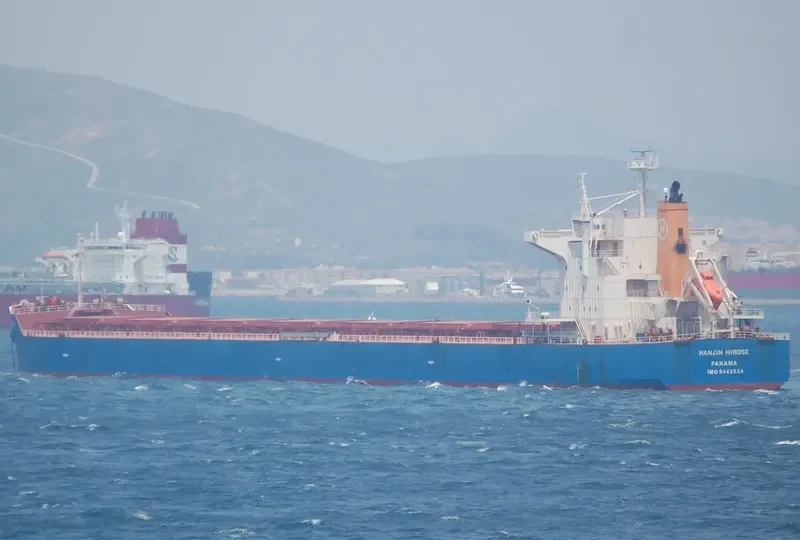 STAR ELECTRA Bulk Carrier IMO 9442536 photo 9
