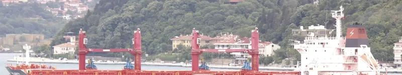MAJESTY Bulk Carrier IMO 9442574 photo 2