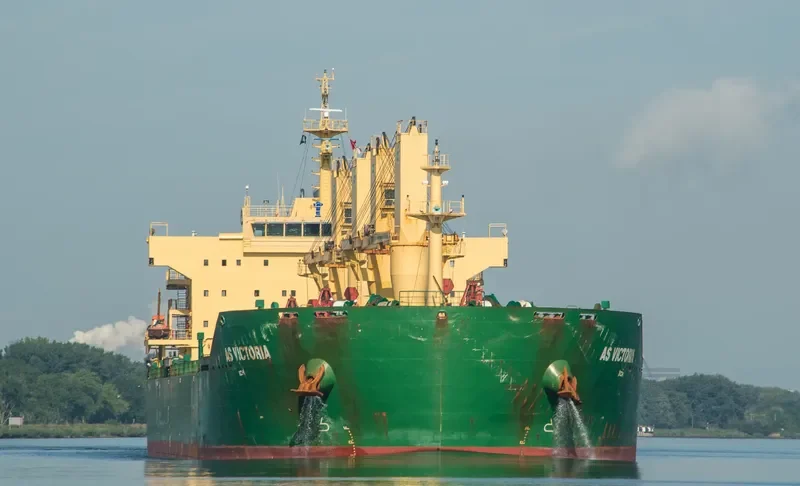 FLC LONGIVITY Bulk Carrier IMO 9442641