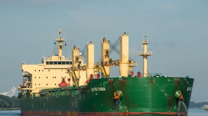FLC LONGIVITY Bulk Carrier IMO 9442641 photo 2