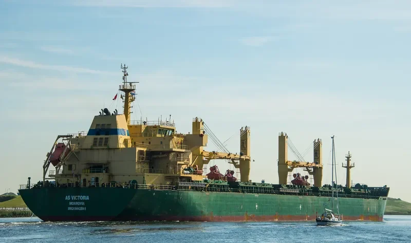 FLC LONGIVITY Bulk Carrier IMO 9442641 photo 3