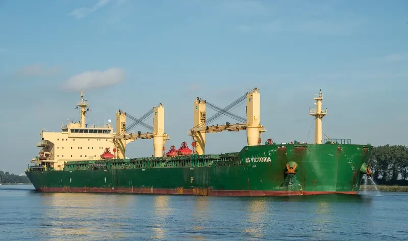 FLC LONGIVITY Bulk Carrier IMO 9442641 photo 4