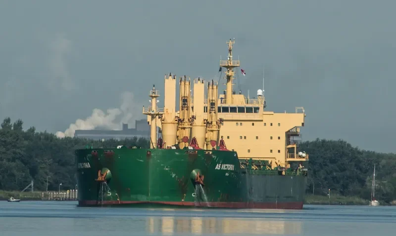 FLC LONGIVITY Bulk Carrier IMO 9442641 photo 5