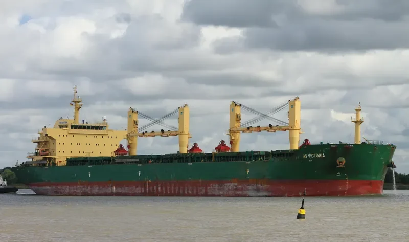 FLC LONGIVITY Bulk Carrier IMO 9442641 photo 7