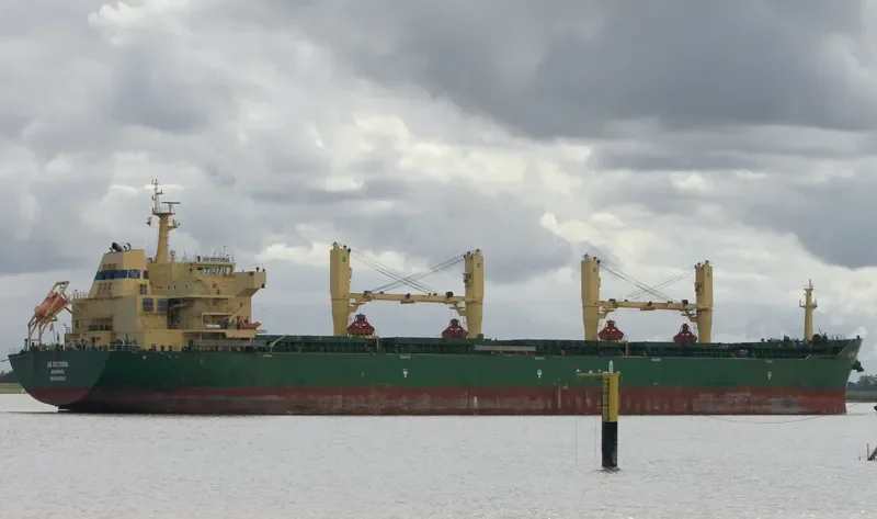 FLC LONGIVITY Bulk Carrier IMO 9442641 photo 8