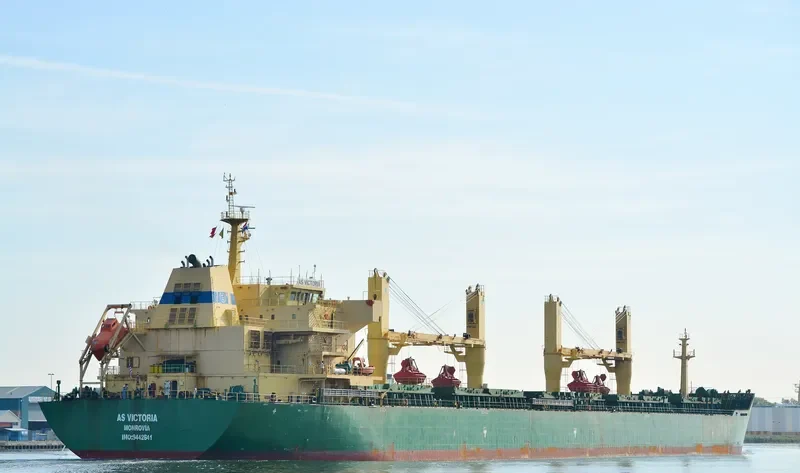 FLC LONGIVITY Bulk Carrier IMO 9442641 photo 9