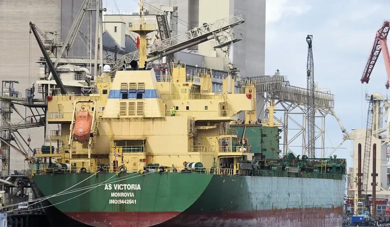 FLC LONGIVITY Bulk Carrier IMO 9442641 photo 10