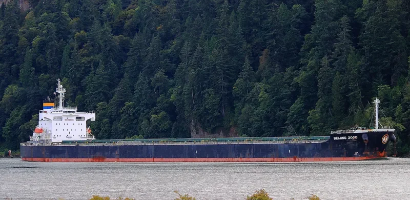 BEIJING 2008 Bulk Carrier IMO 9442744 photo 2