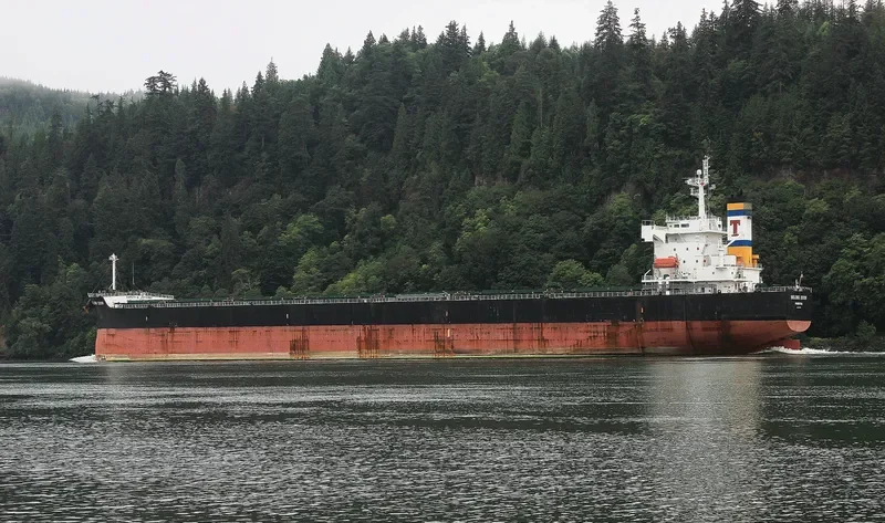BEIJING 2008 Bulk Carrier IMO 9442744 photo 3