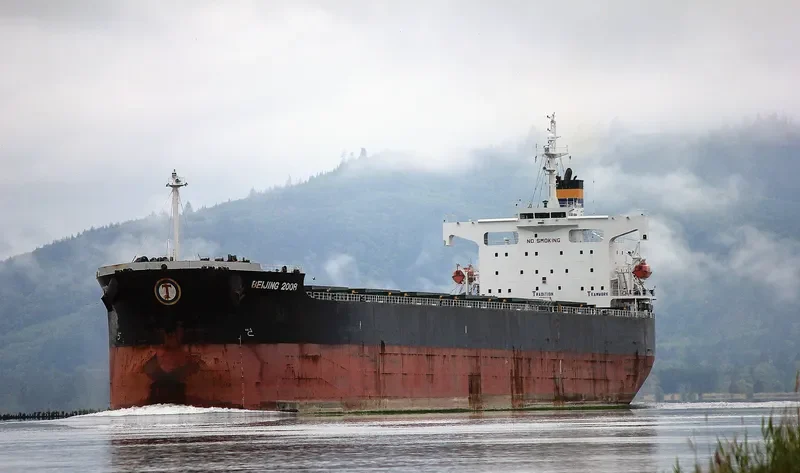 BEIJING 2008 Bulk Carrier IMO 9442744 photo 6