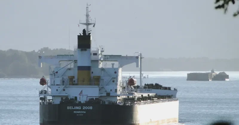 BEIJING 2008 Bulk Carrier IMO 9442744 photo 7
