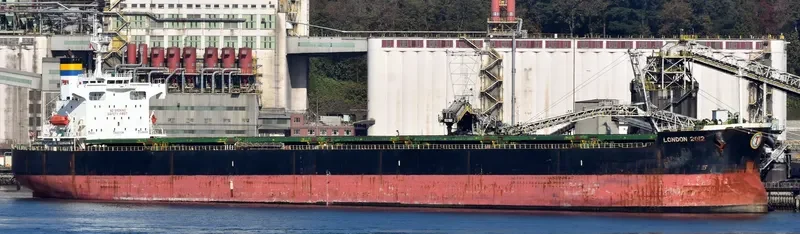 LONDON 2012 Bulk Carrier IMO 9442756 photo 2