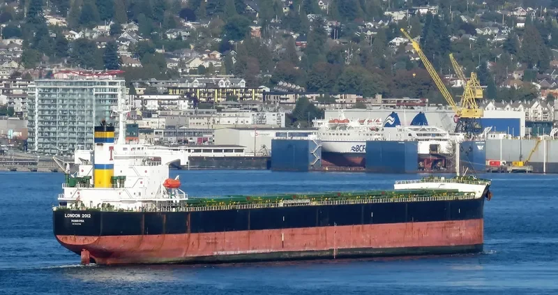 LONDON 2012 Bulk Carrier IMO 9442756 photo 3