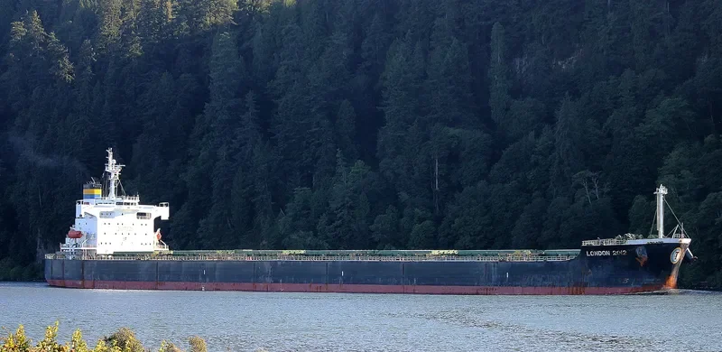 LONDON 2012 Bulk Carrier IMO 9442756 photo 7