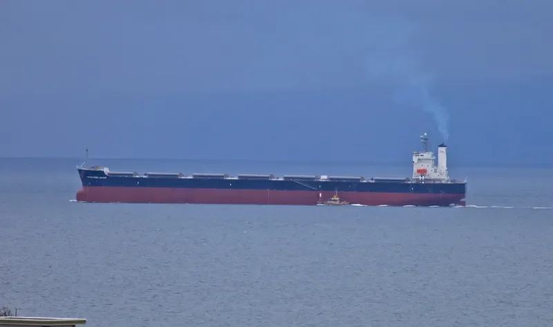 FAR EASTERN JUPITER Bulk Carrier IMO 9442768 photo 5