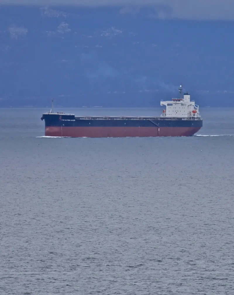 FAR EASTERN JUPITER Bulk Carrier IMO 9442768 photo 6