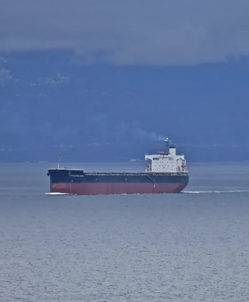 FAR EASTERN JUPITER Bulk Carrier IMO 9442768 photo 7