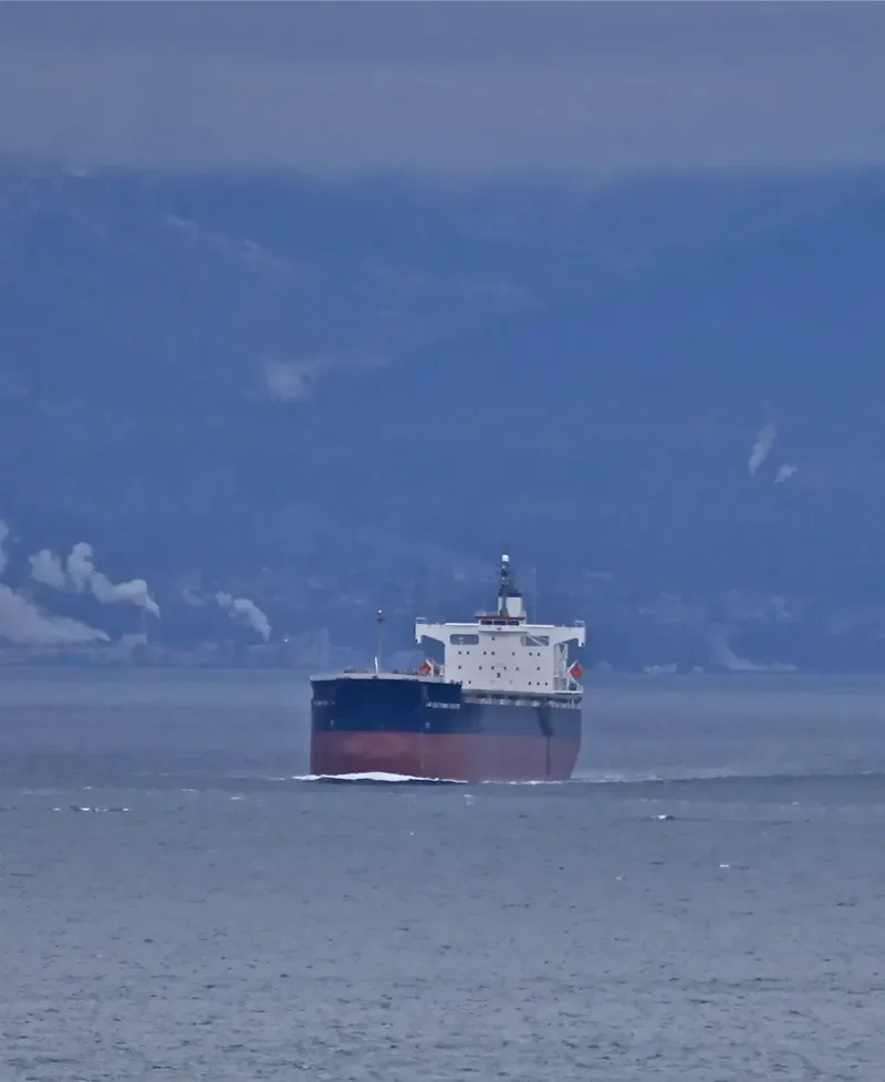 FAR EASTERN JUPITER Bulk Carrier IMO 9442768 photo 8